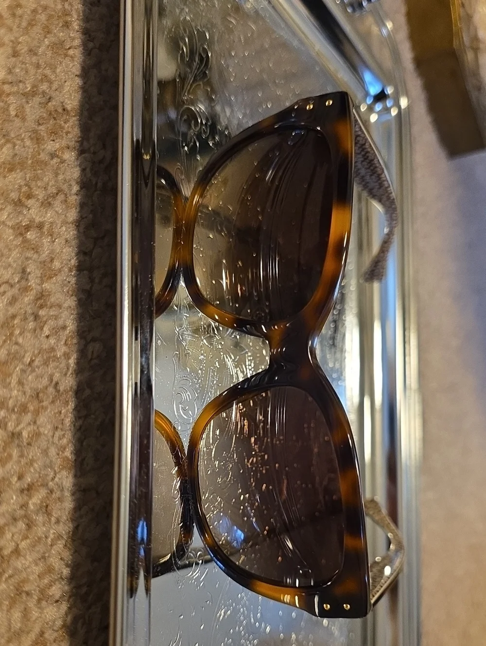 Coach Delphine S443 Brown Sunglasses Set